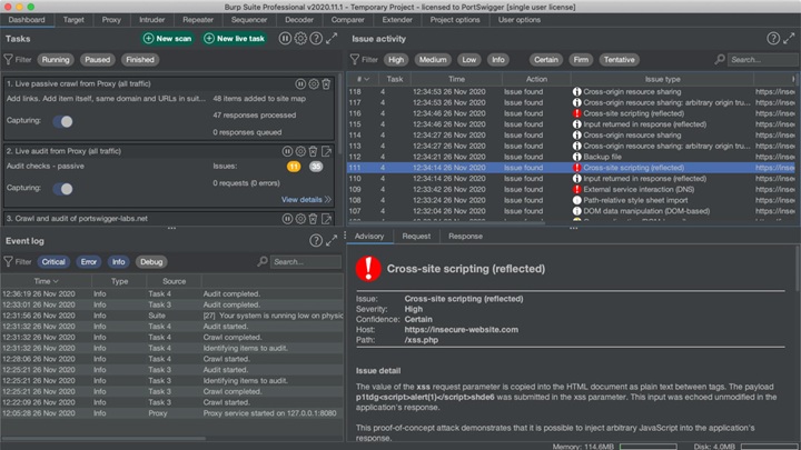 Burp Suite Professional